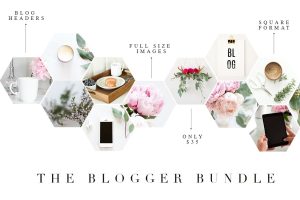 The blogger bundle by Twigy posts