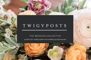 Wedding photo blog images by Twigy Posts